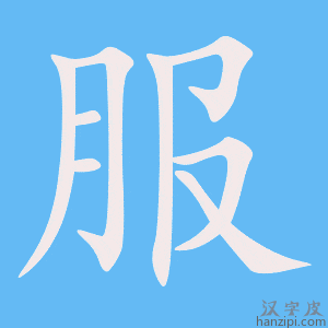 《服》的笔顺动画写字动画演示