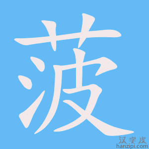 《菠》的笔顺动画写字动画演示