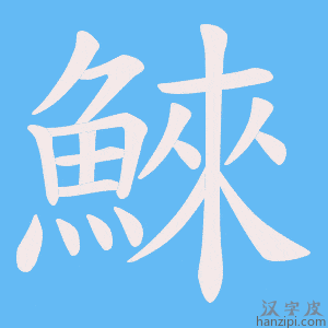 《鯠》的笔顺动画写字动画演示