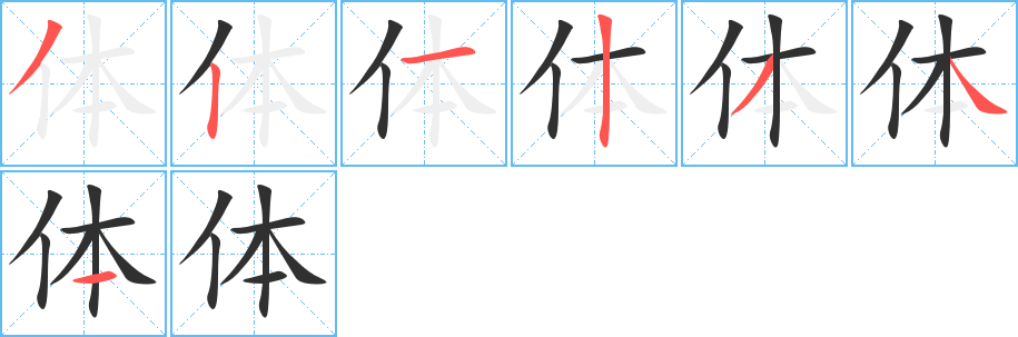 《体》的笔顺分步演示（一笔一画写字）