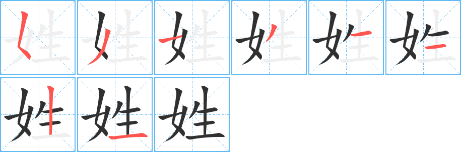 《姓》的笔顺分步演示（一笔一画写字）