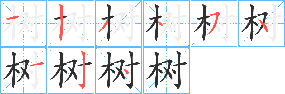 《树》的笔顺分步演示（一笔一画写字）