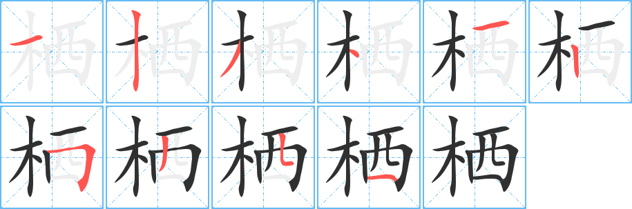 《栖》的笔顺分步演示（一笔一画写字）