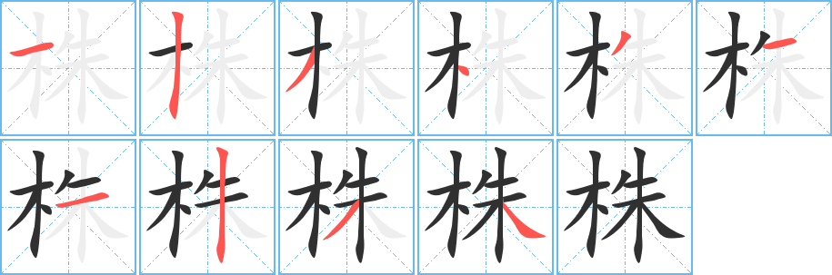 《株》的笔顺分步演示（一笔一画写字）