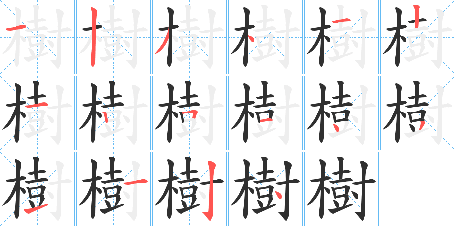 《樹》的笔顺分步演示（一笔一画写字）