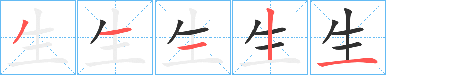 《生》的笔顺分步演示（一笔一画写字）