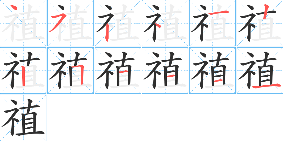 《禃》的笔顺分步演示（一笔一画写字）