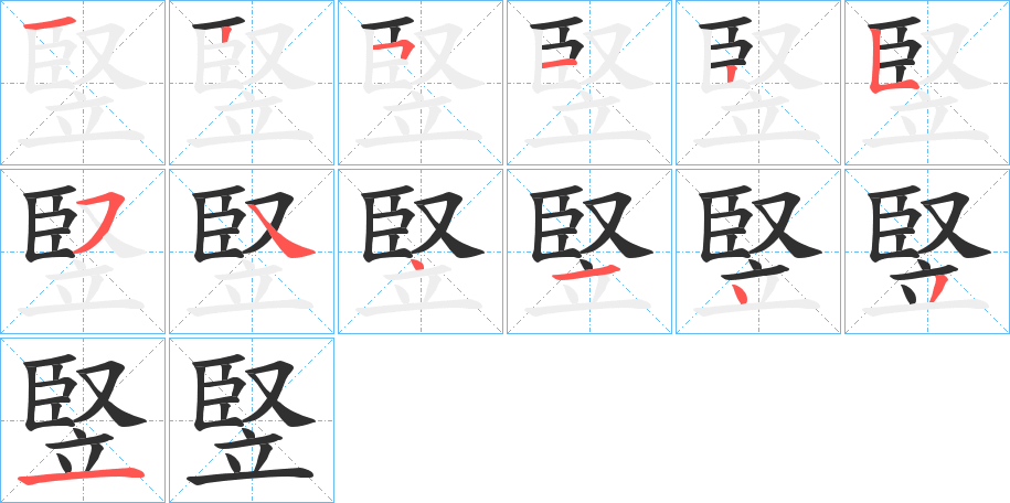 《竪》的笔顺分步演示（一笔一画写字）