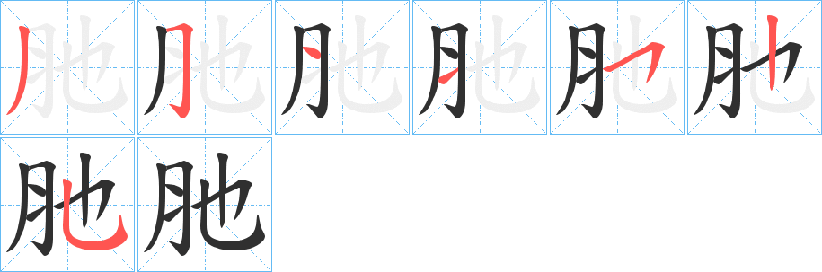 《肔》的笔顺分步演示（一笔一画写字）