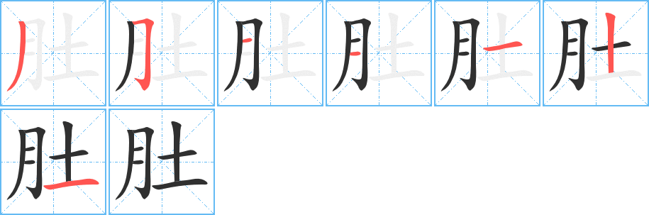 《肚》的笔顺分步演示（一笔一画写字）