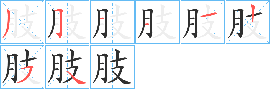 《肢》的笔顺分步演示（一笔一画写字）