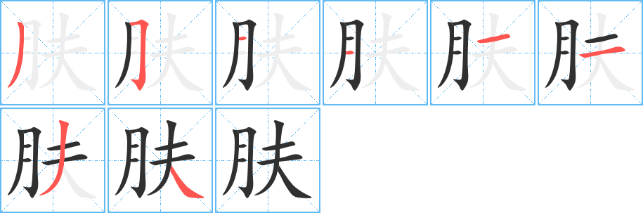 《肤》的笔顺分步演示（一笔一画写字）