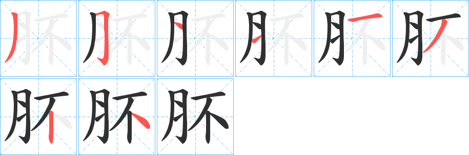 《肧》的笔顺分步演示（一笔一画写字）