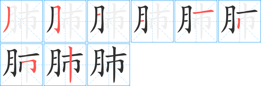 《肺》的笔顺分步演示（一笔一画写字）