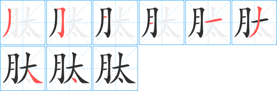 《肽》的笔顺分步演示（一笔一画写字）