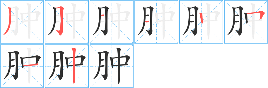 《肿》的笔顺分步演示（一笔一画写字）