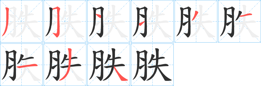 《胅》的笔顺分步演示（一笔一画写字）