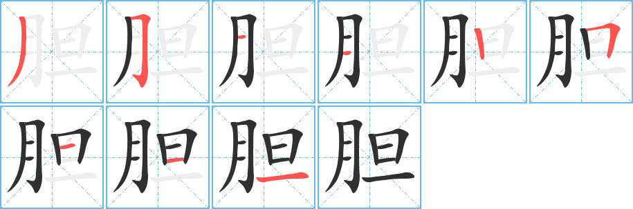 《胆》的笔顺分步演示（一笔一画写字）