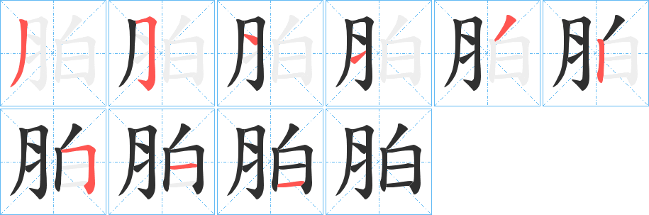 《胉》的笔顺分步演示（一笔一画写字）