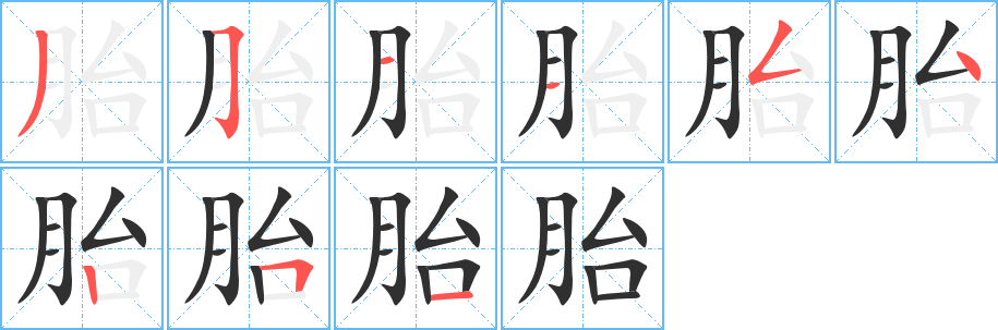 《胎》的笔顺分步演示（一笔一画写字）