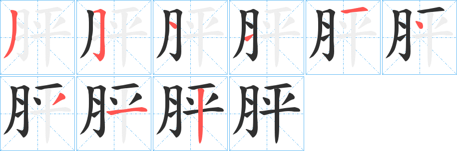 《胓》的笔顺分步演示（一笔一画写字）