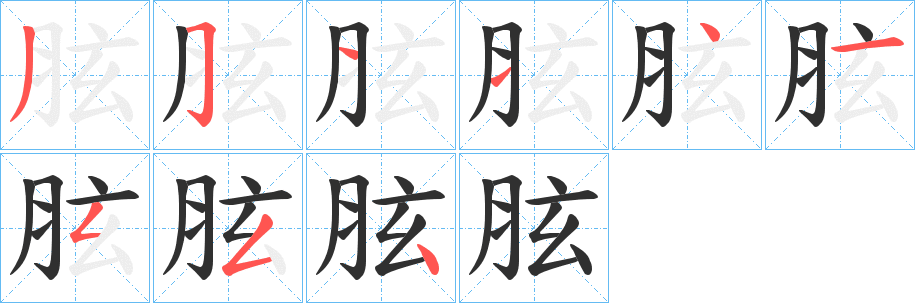 《胘》的笔顺分步演示（一笔一画写字）