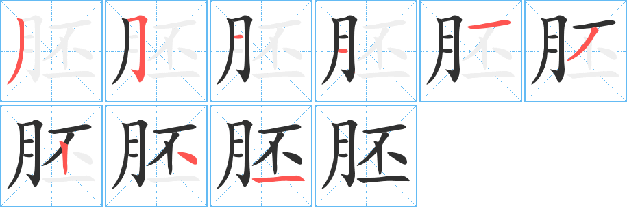 《胚》的笔顺分步演示（一笔一画写字）