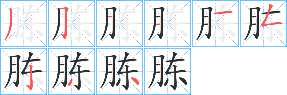 《胨》的笔顺分步演示（一笔一画写字）