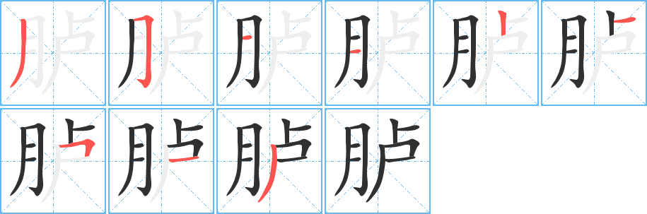 《胪》的笔顺分步演示（一笔一画写字）