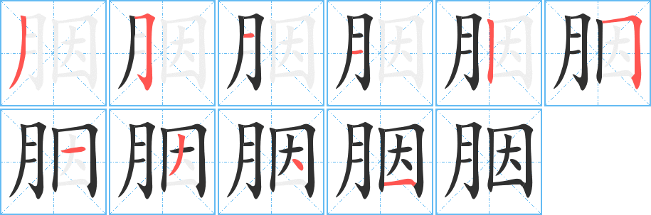 《胭》的笔顺分步演示（一笔一画写字）