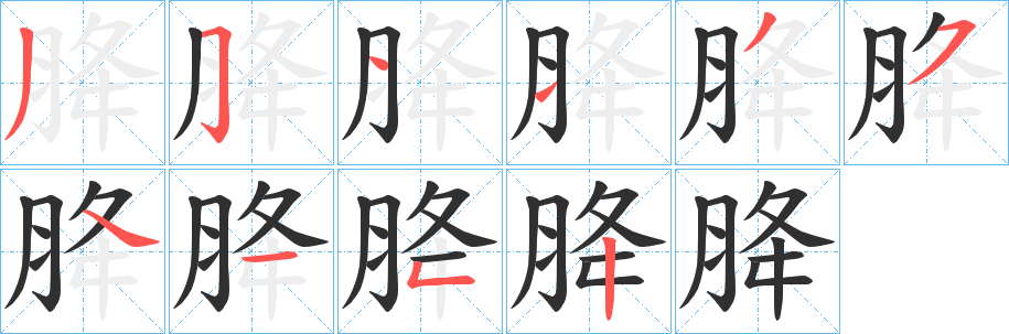 《胮》的笔顺分步演示（一笔一画写字）