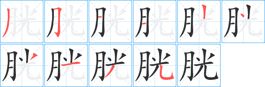 《胱》的笔顺分步演示（一笔一画写字）