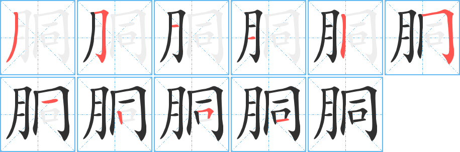 《胴》的笔顺分步演示（一笔一画写字）