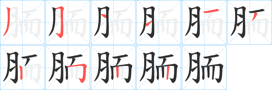 《胹》的笔顺分步演示（一笔一画写字）