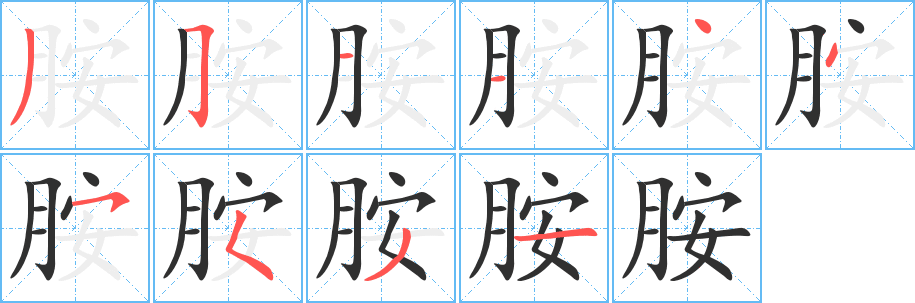 《胺》的笔顺分步演示（一笔一画写字）