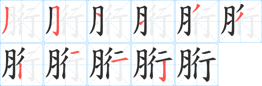 《胻》的笔顺分步演示（一笔一画写字）