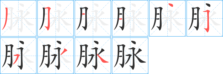 《脉》的笔顺分步演示（一笔一画写字）