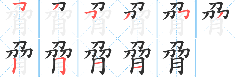 《脋》的笔顺分步演示（一笔一画写字）