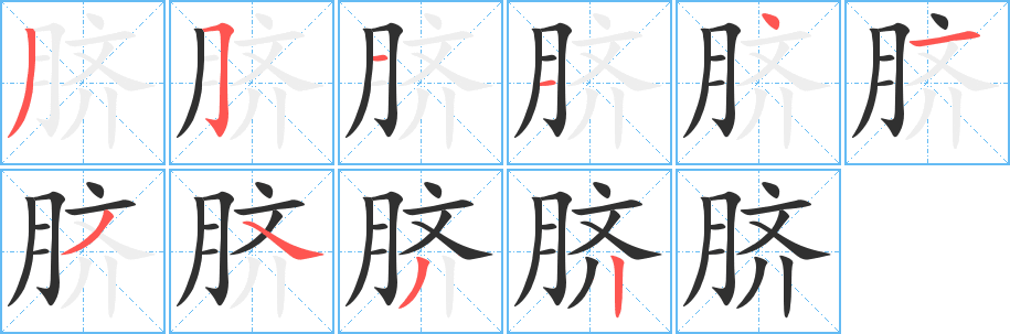 《脐》的笔顺分步演示（一笔一画写字）