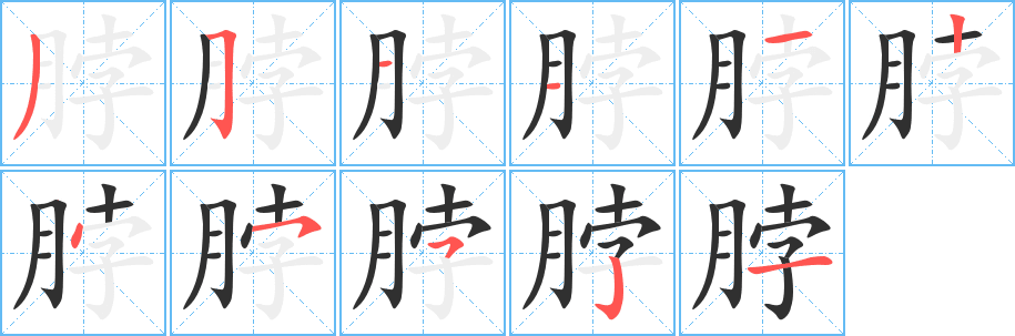 《脖》的笔顺分步演示（一笔一画写字）