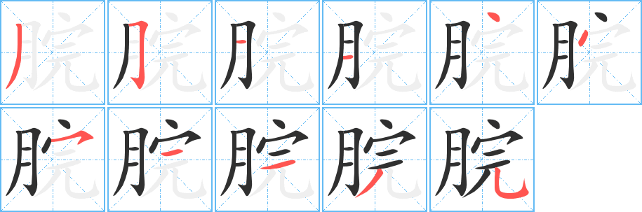 《脘》的笔顺分步演示（一笔一画写字）