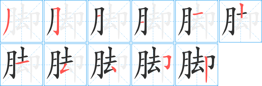 《脚》的笔顺分步演示（一笔一画写字）