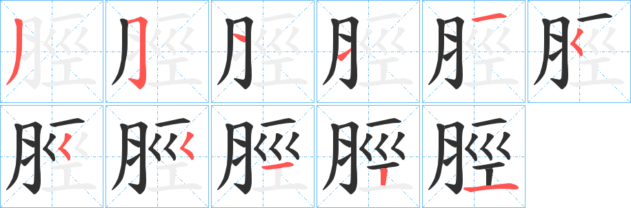 《脛》的笔顺分步演示（一笔一画写字）