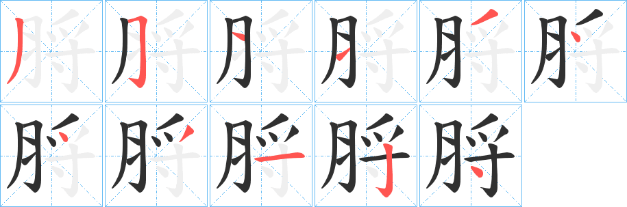 《脟》的笔顺分步演示（一笔一画写字）