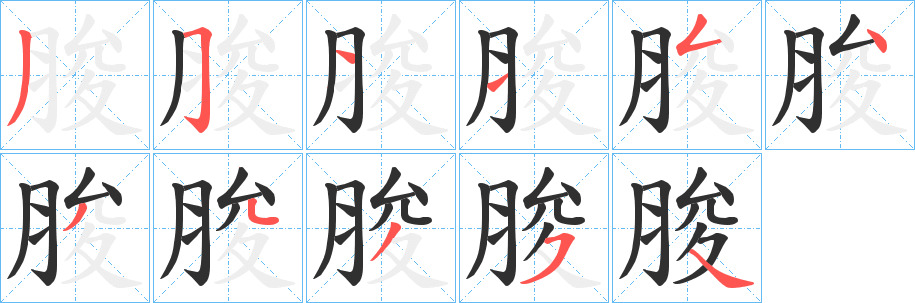 《脧》的笔顺分步演示（一笔一画写字）