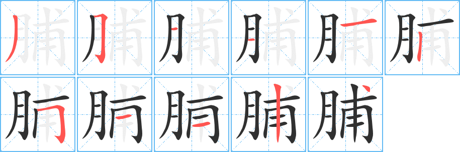 《脯》的笔顺分步演示（一笔一画写字）