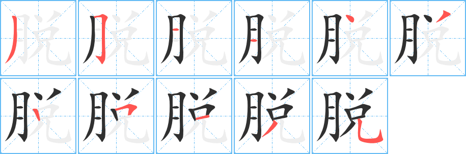 《脱》的笔顺分步演示（一笔一画写字）