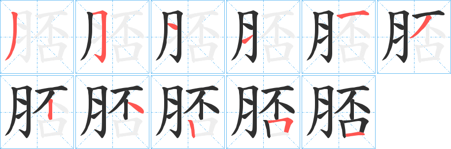 《脴》的笔顺分步演示（一笔一画写字）