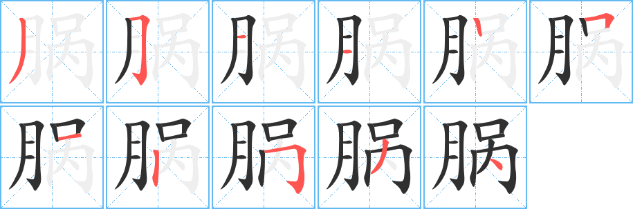 《脶》的笔顺分步演示（一笔一画写字）