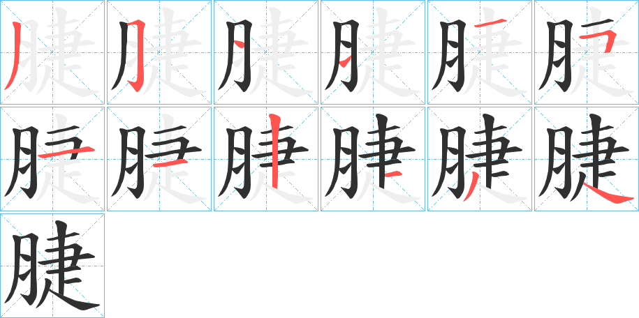 《脻》的笔顺分步演示（一笔一画写字）